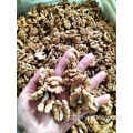 Beste Qualität Xinjiang New Crop 185 Walnut Kernel